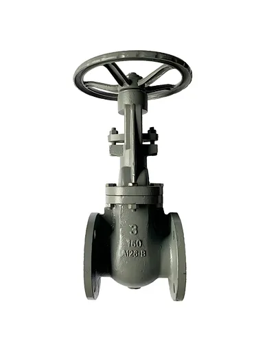 Cast Iron Gate Valve